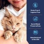 Orange tabby cat being held showing grain-free, legume-free, no artificial preservatives, USA manufactured pet food benefits