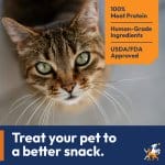 Promotional banner with an image of a cat close up image, an orange tag in the right corner listing three bullet points: 100% Meat Protein, Human-Grade Ingredients, and USDA/FDA Approved. There is a blue banner at the bottom that says: Treat your pet to a better snack