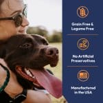 Happy chocolate Labrador dog with owner outdoors showing grain-free legume-free dog food benefits made in USA