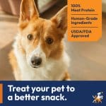 Promotional banner with an image of a Corgie close up image, a orange tag in the right corner listing three bullet points: 100% Meat Protein, Human-Grade Ingredients, and USDA/FDA Approved. There is a blue banner at the bottom that says: Treat your pet to a better snack
