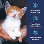Smiling orange and white kitten held in hands showing grain-free legume-free cat food benefits made in USA without artificial preservatives
