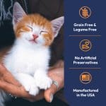 Content orange and white kitten in hands highlighting grain-free legume-free natural cat food manufactured in USA with no artificial preservatives