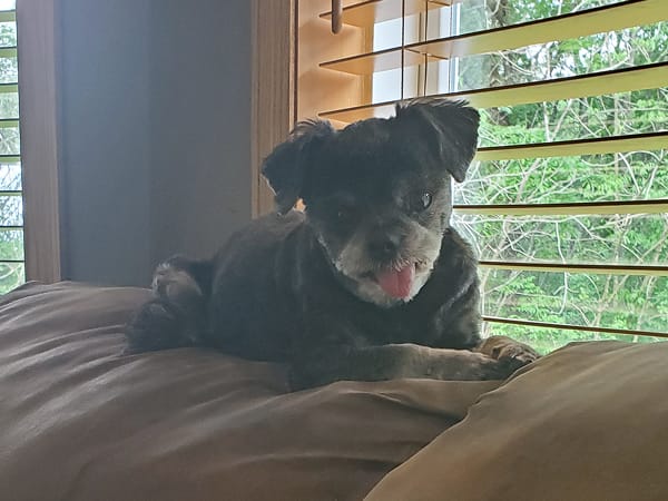 rufus-snack-associate