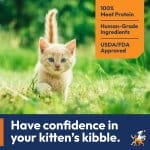 A small light orange kitten is walking through a field of tall green grass, the image has an orange tag in the right corner listing three benefits with number one being 100% Meat Protein, number two being Human-Grade Ingredients and number three being USDA/FDA Approved. The bottom of the picture is cut off by a blue banner with the text Have Confidence in your kitten's kibble.