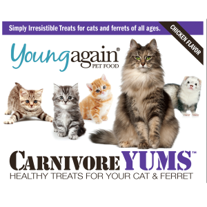 Five cats and a ferret sit above the text “Carnivore Yums: Healthy Treats for Your Cat & Ferret.” The package is for Young Again pet food, chicken flavor, and features the slogan “Simply Irresistible Treats” at the top.