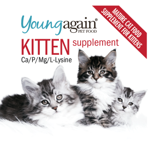 Young Again Kitten supplement with calcium phosphorus magnesium and L-Lysine - mature cat food supplement for kittens