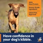 A brown vizsla is running through a field of dried flowers, it's ears flowing out to the sides and a big smile on it's face. The image has an orange tag in the right corner listing three benefits with number one being 100% Meat Protein, number two being Human-Grade Ingredients and number three being USDA/FDA Approved. The bottom of the picture is cut off by a blue banner with the text Have Confidence in your dog's kibble.