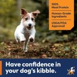 A small white and brown terries is running on mossy forest ground, the image has an orange tag in the right corner listing three benefits with number one being 100% Meat Protein, number two being Human-Grade Ingredients and number three being USDA/FDA Approved. The bottom of the picture is cut off by a blue banner with the text Have Confidence in your dog's kibble.